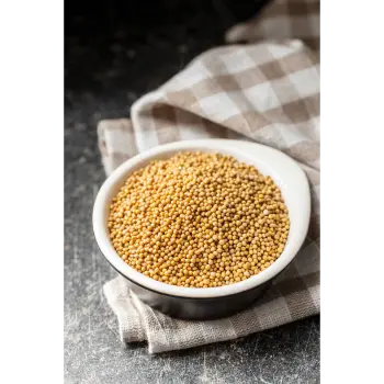 Organic Yellow Mustard Seed